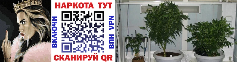 Купить наркотик аптеки Обнинск Бошки Шишки  Alpha-PVP  ГАШИШ  Cocaine 