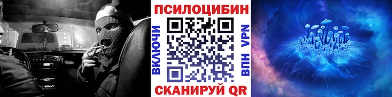 магазин продажи   Обнинск  Галлюциногенные грибы MAGIC MUSHROOMS 